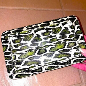 HARD CASE IVORY GREEN AND BLACK PYTHON FAUX LEATHER CLUTCH